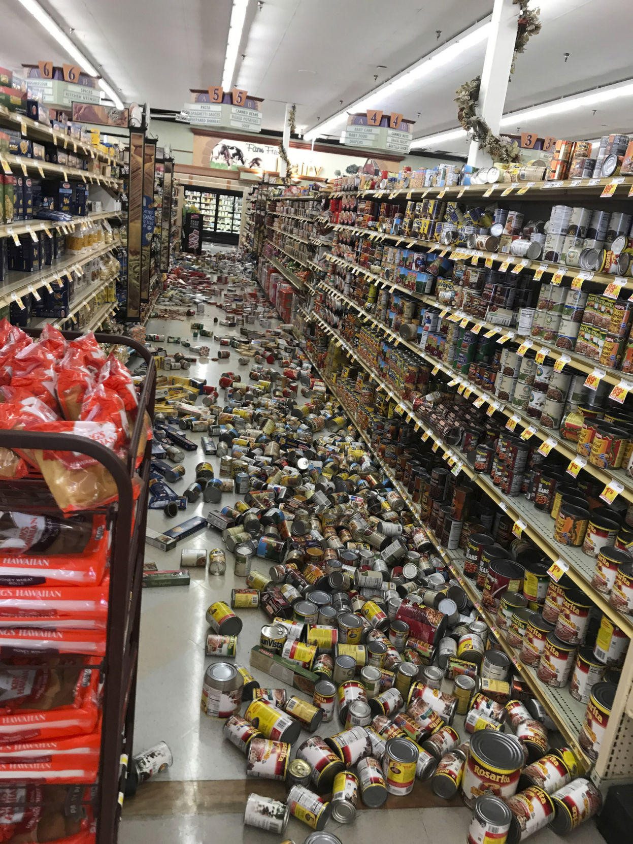California Earthquake